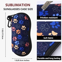 Sunglasses Case